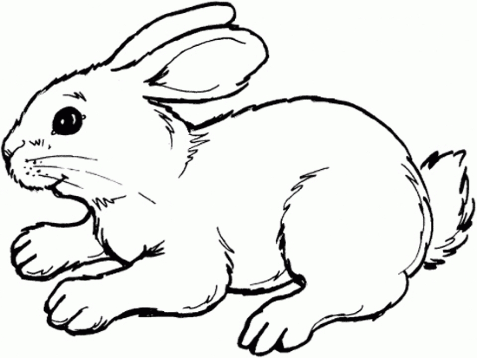 simple-printable-rabbit-coloring-page