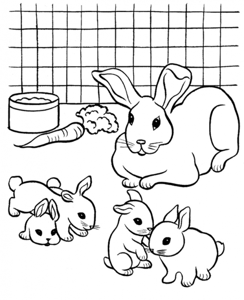 New Bunny Coloring Pages Printable with simple drawing