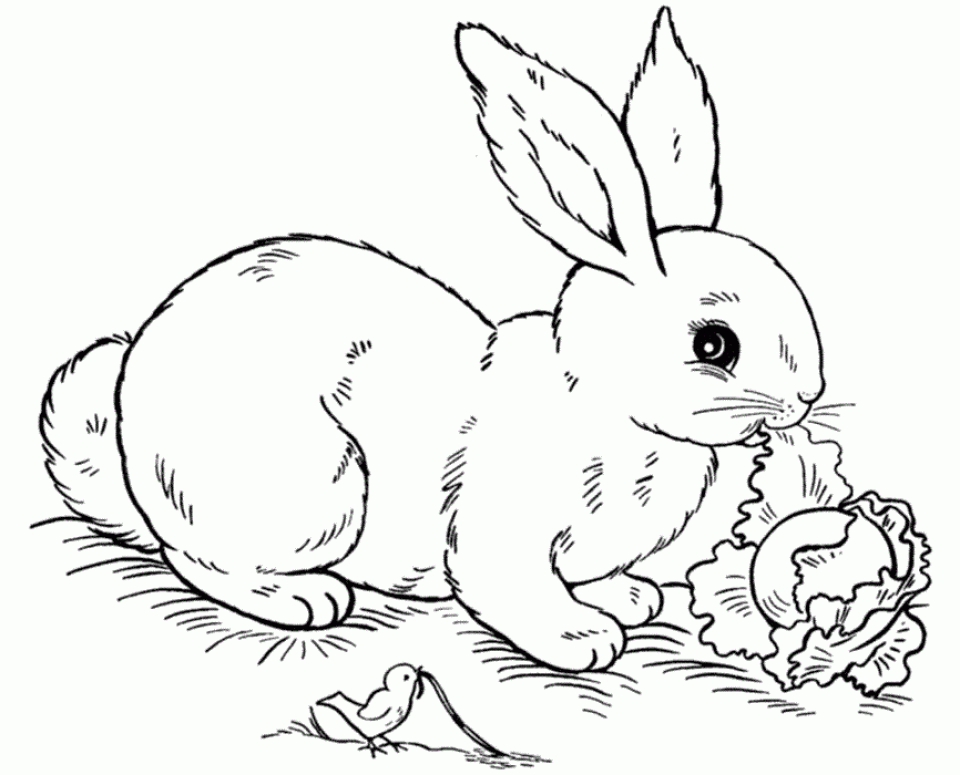 10 Rabbit Coloring Pages for Animal Lovers: Unleash Your Inner Artist