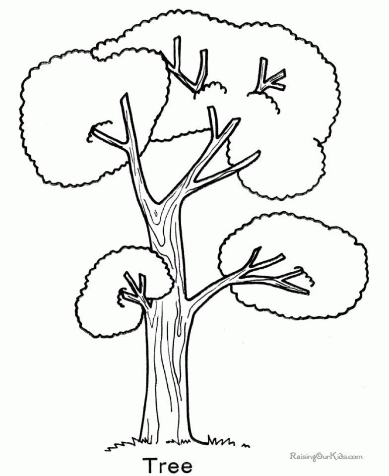 Get This Tree Coloring Pages to Print for Kids Q1CIN