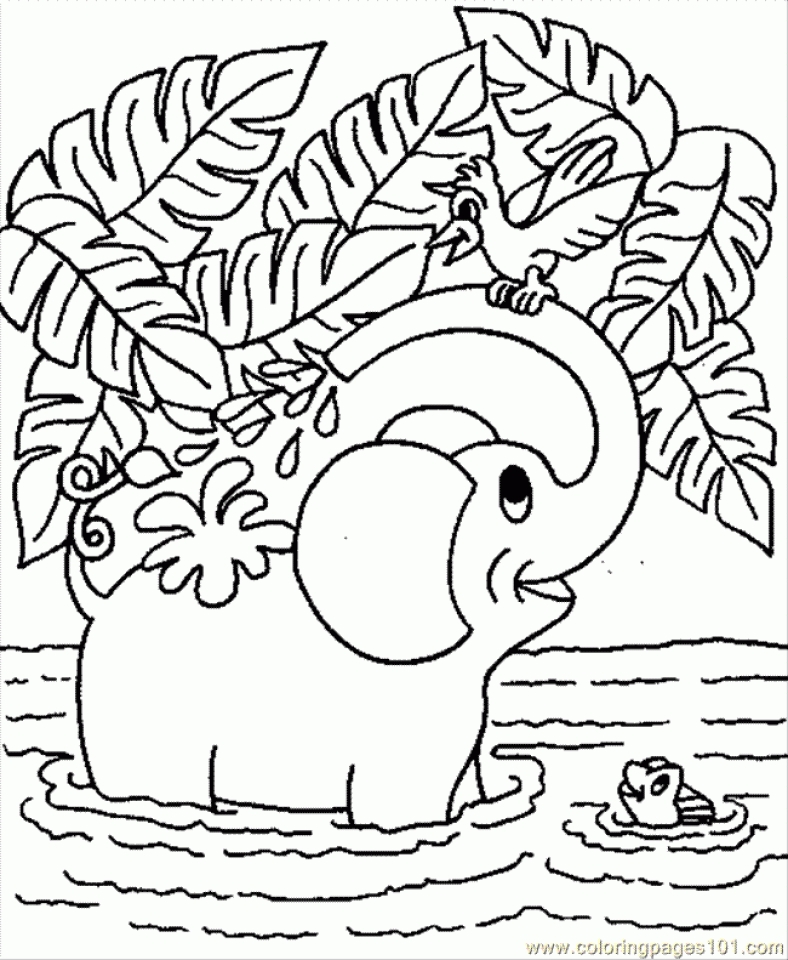 Get This Baby Elephant Coloring Pages 679532