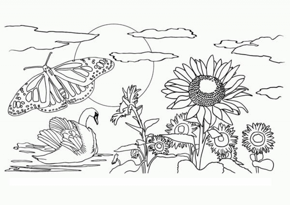 Get This Easy Preschool Printable of Nature Coloring Pages qov5f