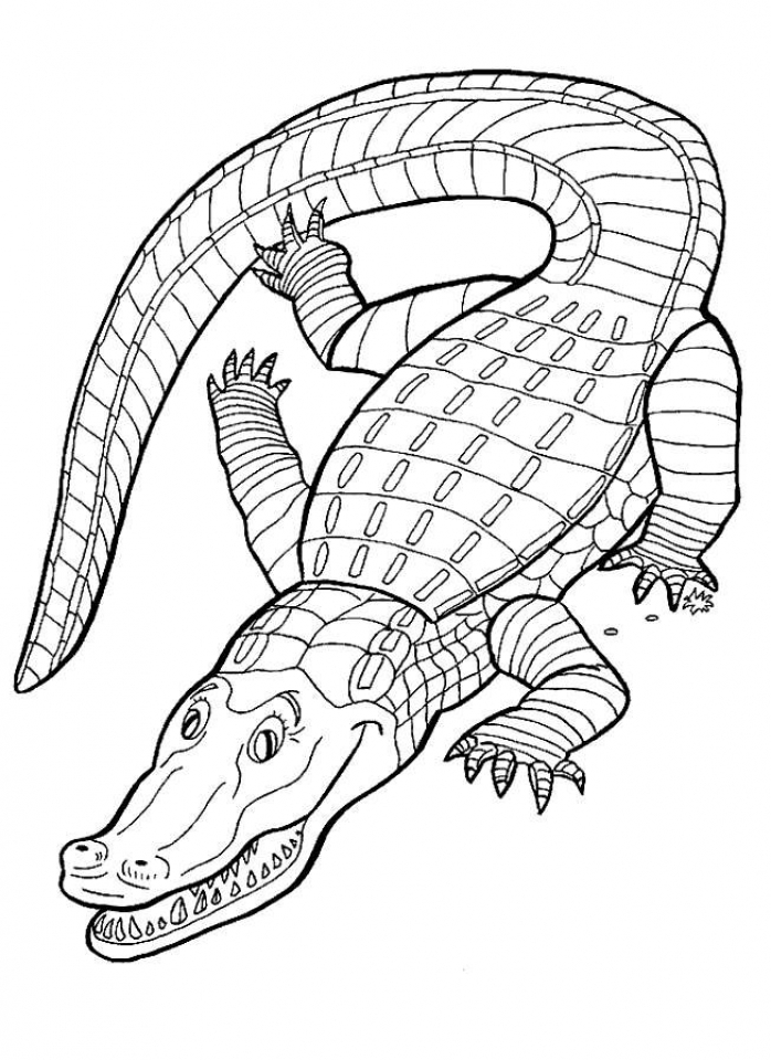 Get This Free Printable Alligator Coloring Pages for Kids 5gzkd