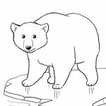 20+ Free Printable Polar Bear Coloring Pages - EverFreeColoring.com