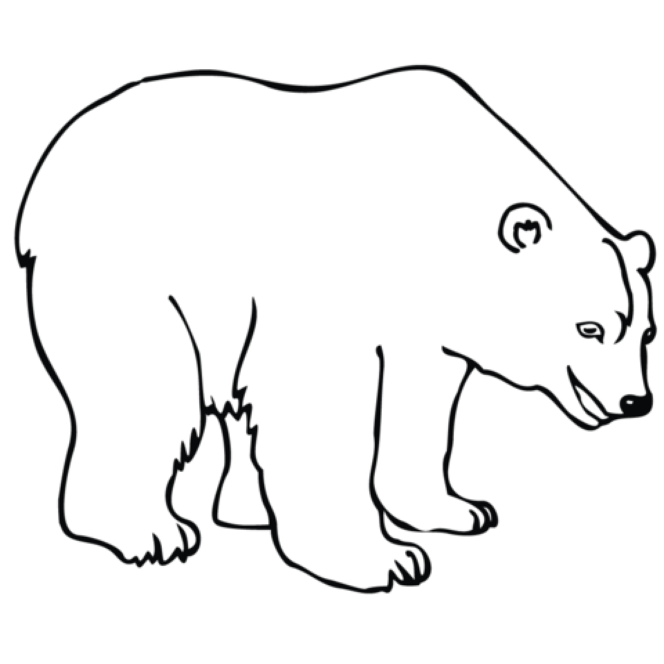 Get This Image of Polar Bear Coloring Pages to Print for Kids uan64