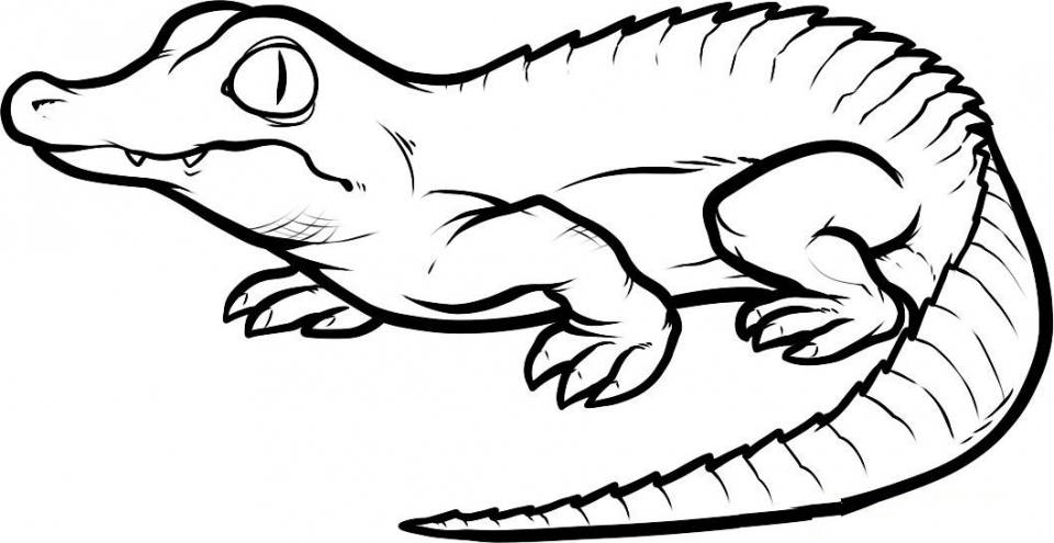 cartoon alligator coloring page