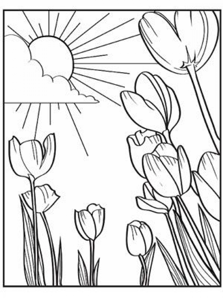 688 Cartoon Free Printable Spring Coloring Pages For Kindergarten with disney character