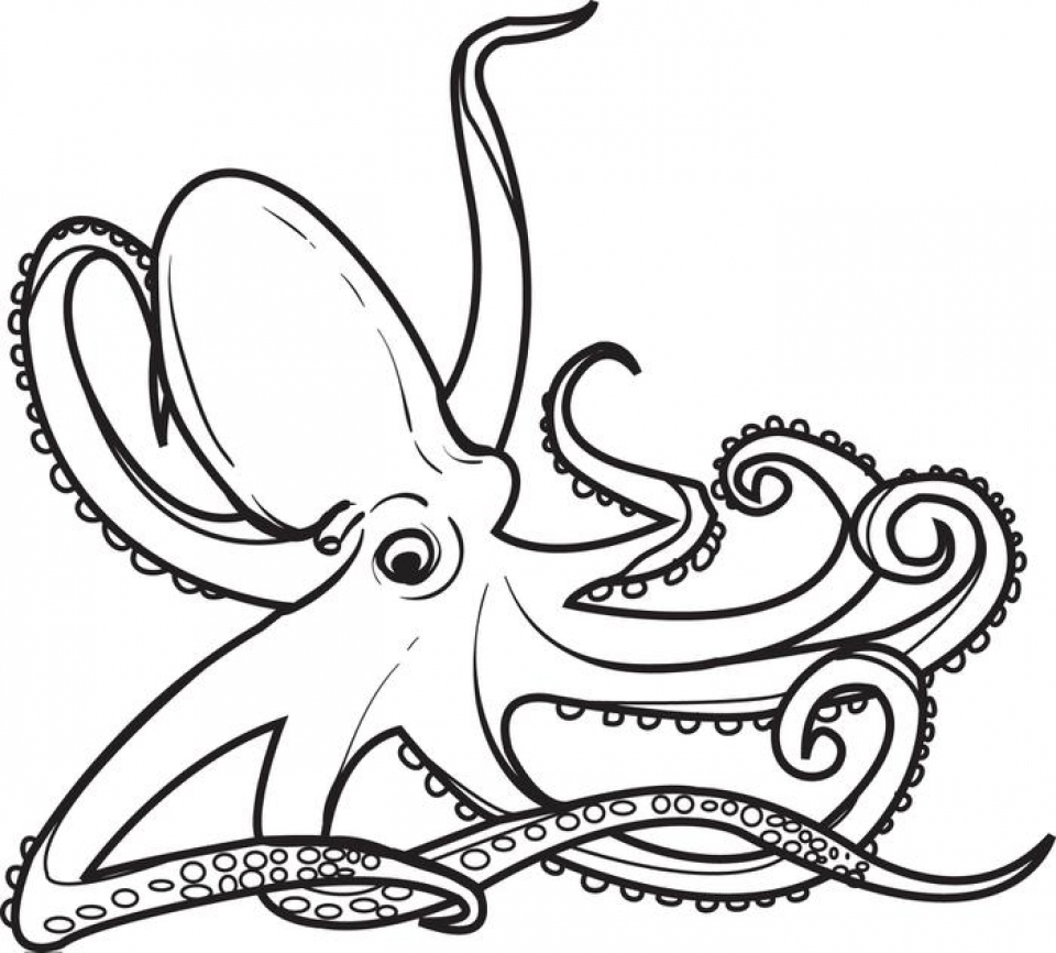 Get This Free Octopus Coloring Pages 2srxq