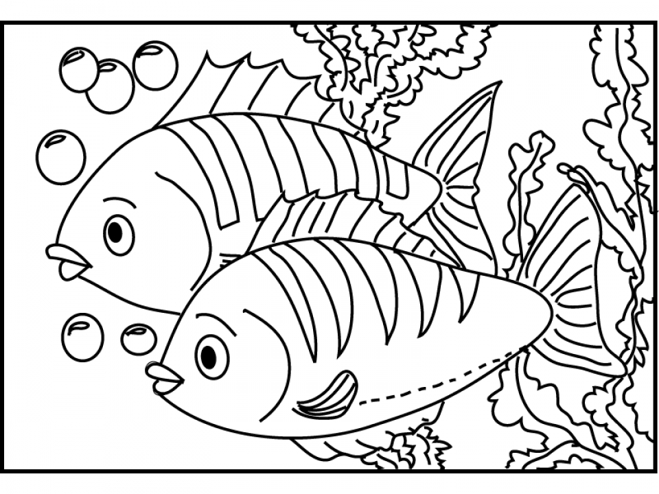 22  Coloring Book Fish Images Background COLORIST