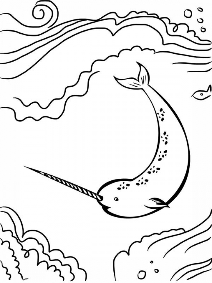 20 Free Printable Narwhal Coloring Pages