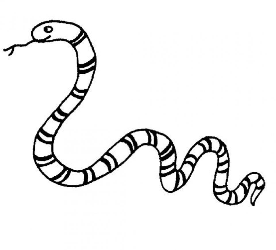 Get This Online Snake Coloring Pages 43569