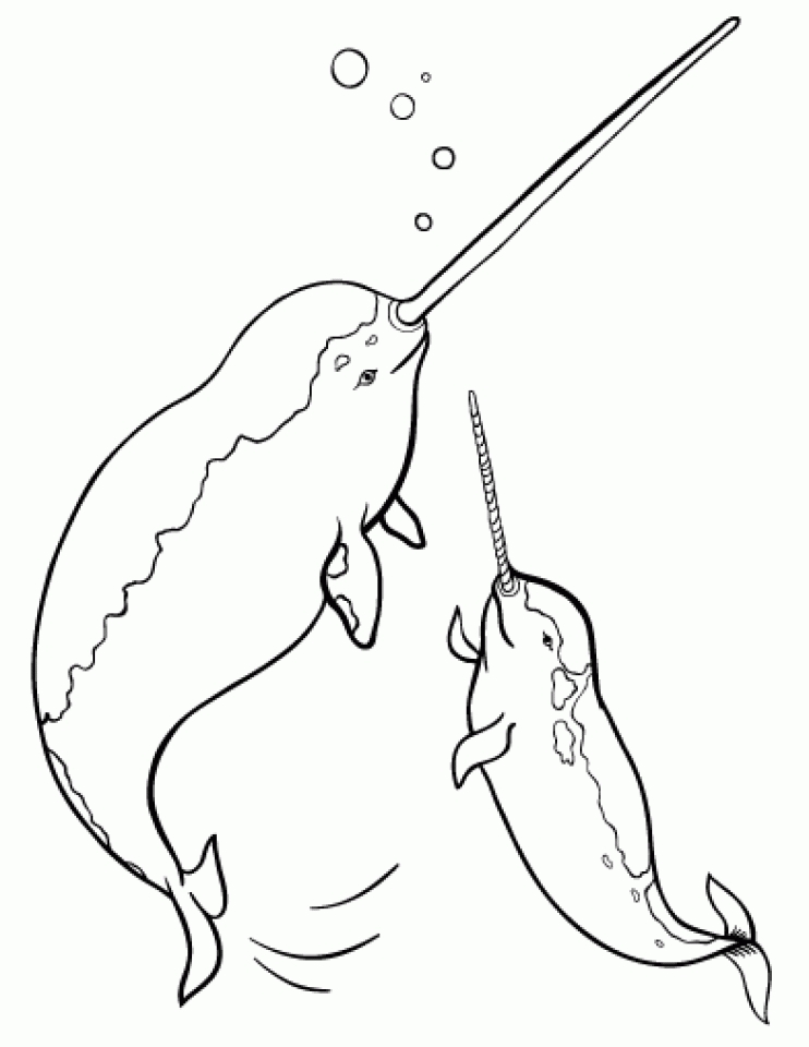 Get This Printable Narwhal Coloring Pages 00467