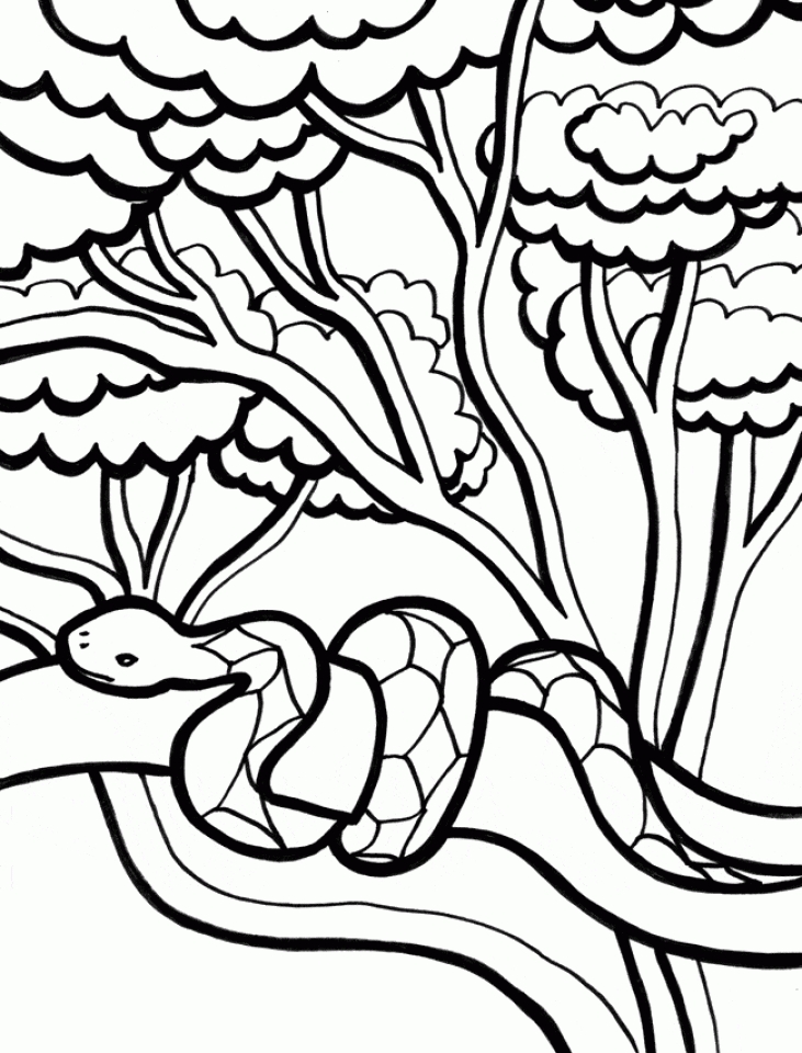 Get This Printable Snake Coloring Pages 01827