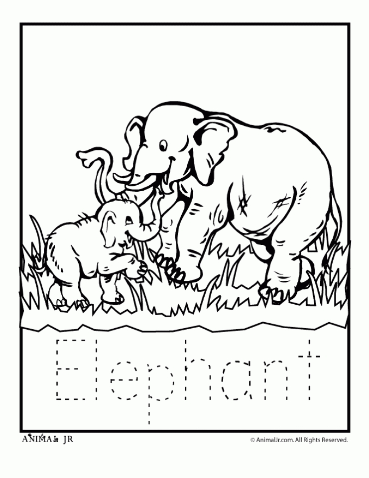 Get This Preschool Printables of Zoo Coloring Pages Free 37204