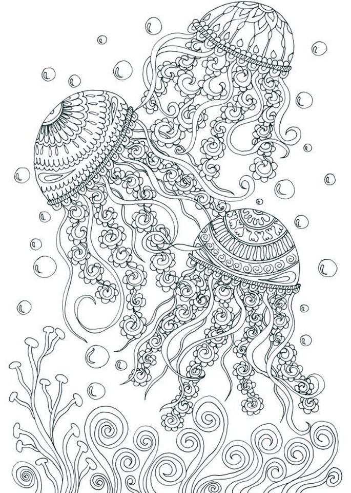 Get This Free Adults Printable of Summer Coloring Pages 59201