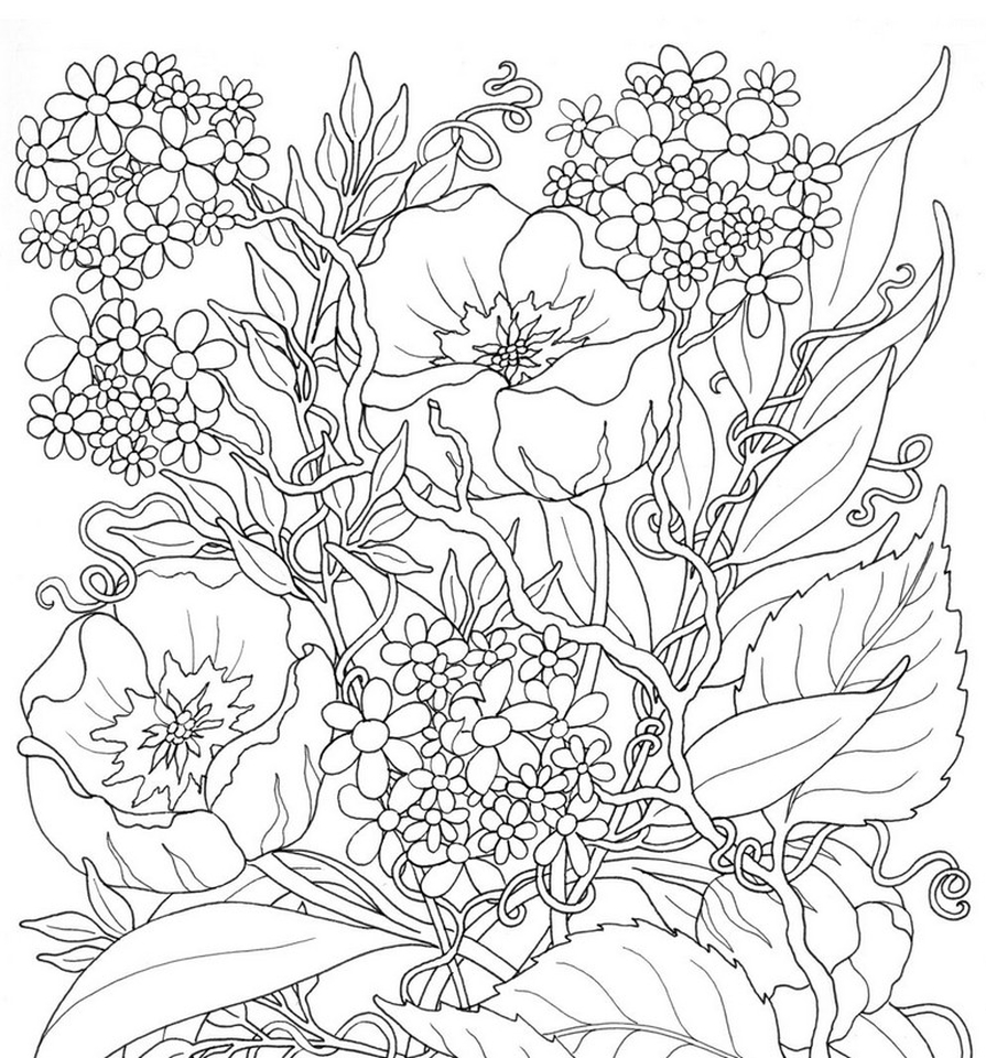 Get This Online Summer Printable Coloring Pages for Adults - 99211