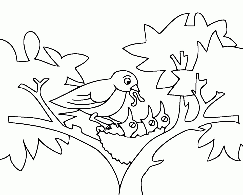 20 Free Printable Bird Coloring Pages EverFreeColoring