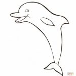 20+ Free Printable Dolphin Coloring Pages - EverFreeColoring.com