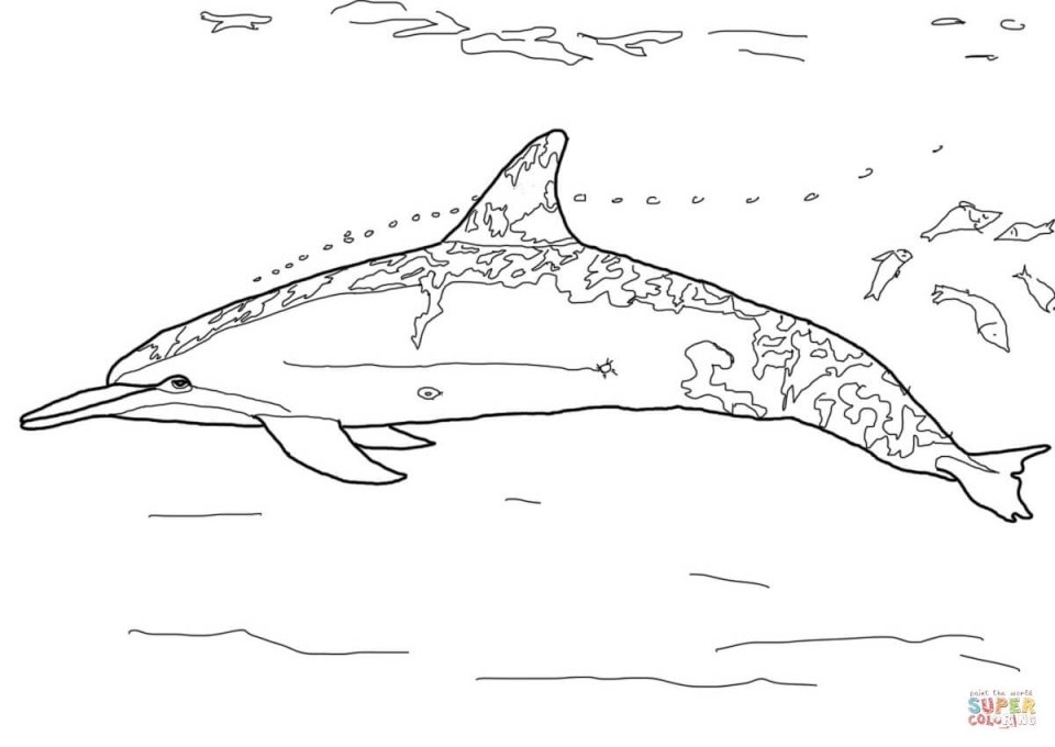 Get This Free Printable Dolphin Coloring Pages for Kids ...