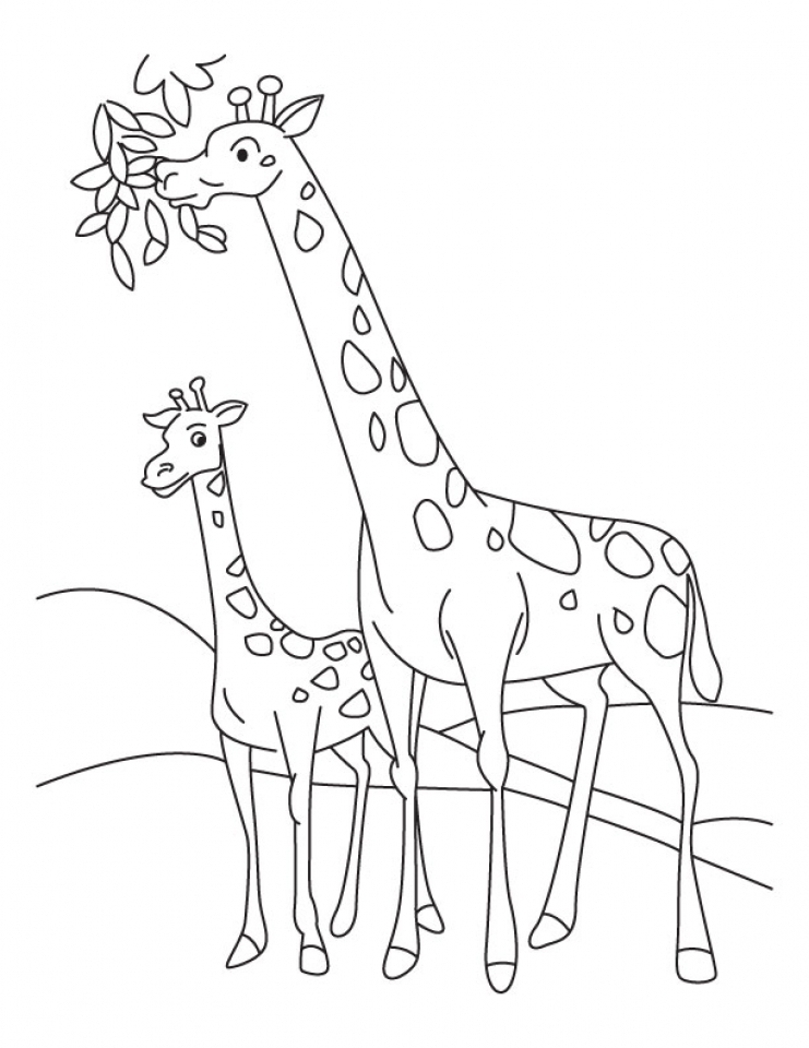 Get This Giraffe Coloring Pages Printable 09412