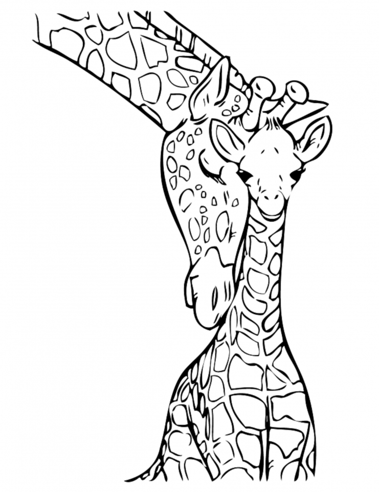 Get This Giraffe Coloring Pages Realistic Animals 31794
