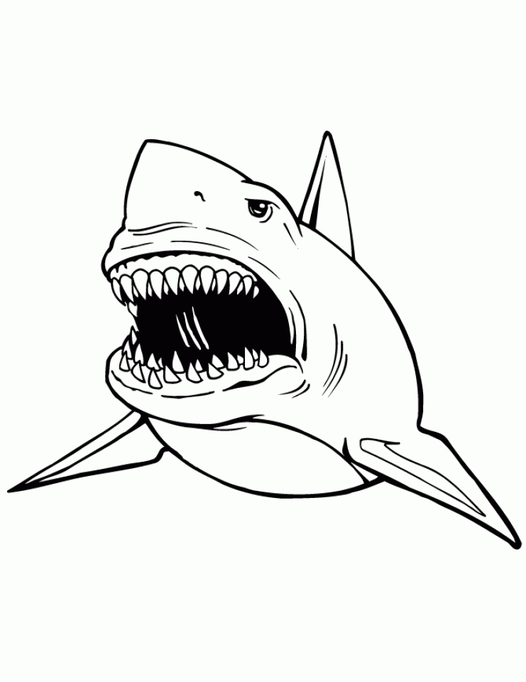 Get This Great White Shark Coloring Pages 31645