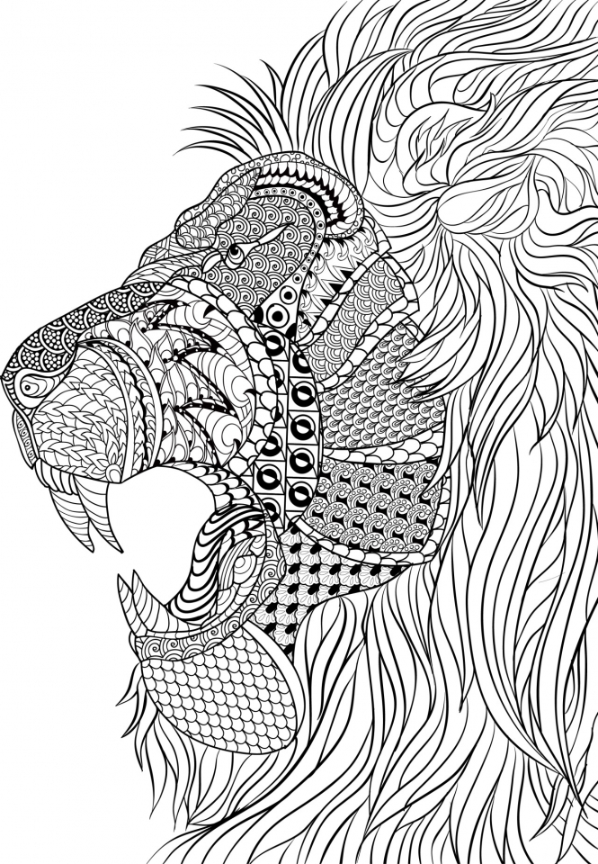 coloring printable adults lion