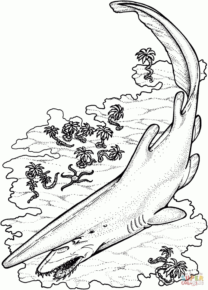 Mean Shark Coloring Pages Coloring Pages
