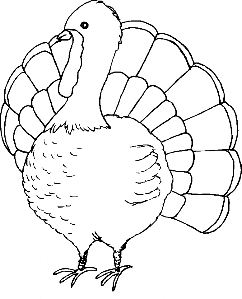 simple turkey coloring pages
