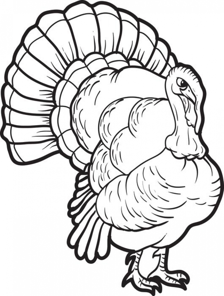 Get This Turkey Coloring Pages Online 75628