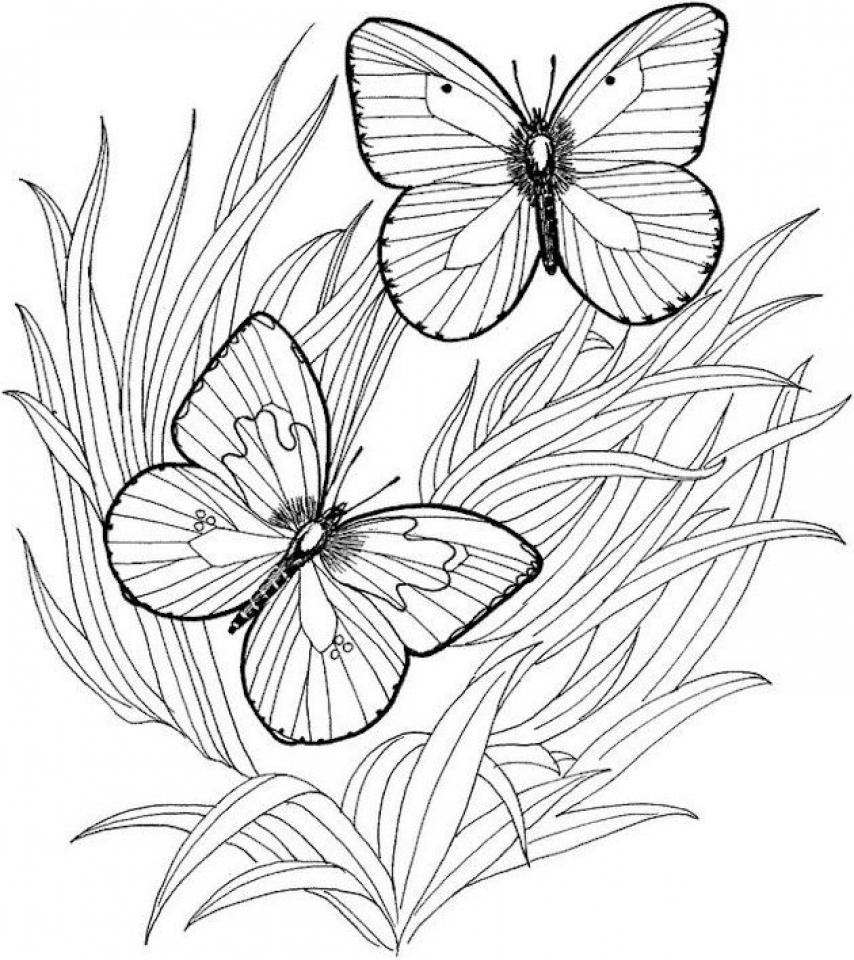 Get This Adult Butterfly Coloring Pages to Print at46f
