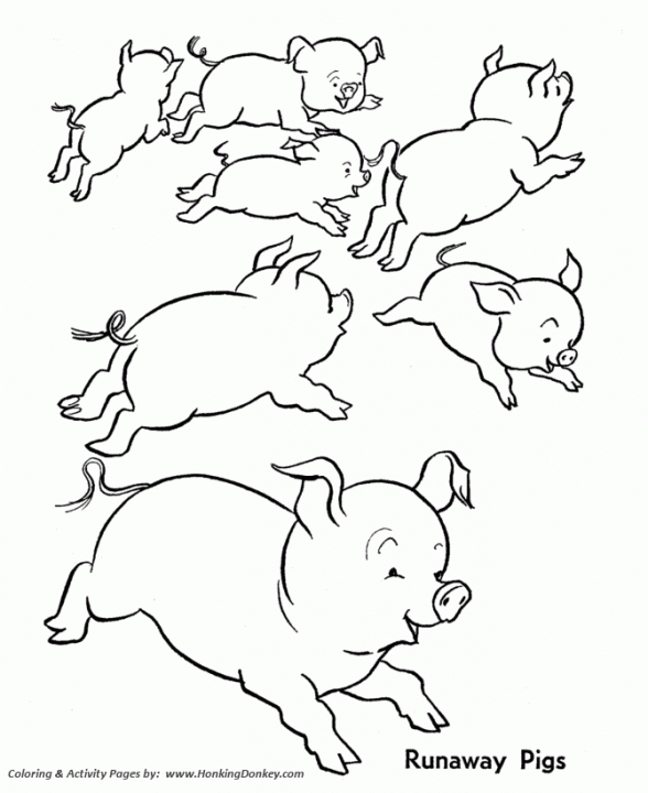 20+ Free Printable Pig Coloring Pages - EverFreeColoring.com