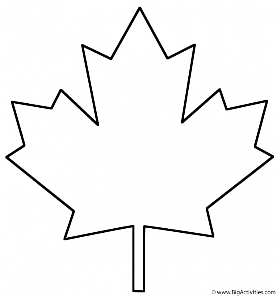 Get This Blank Leaf Coloring Pages for Kids 85bf1