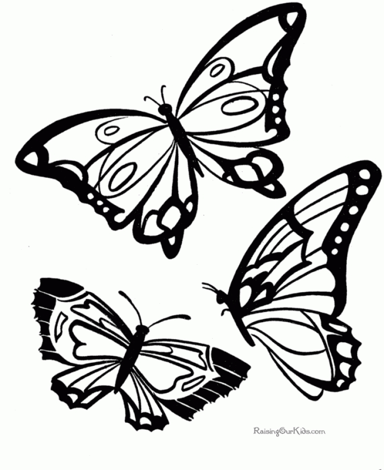 coloring butterfly printable