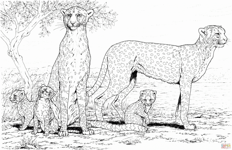 20-free-printable-cheetah-coloring-pages-everfreecoloring