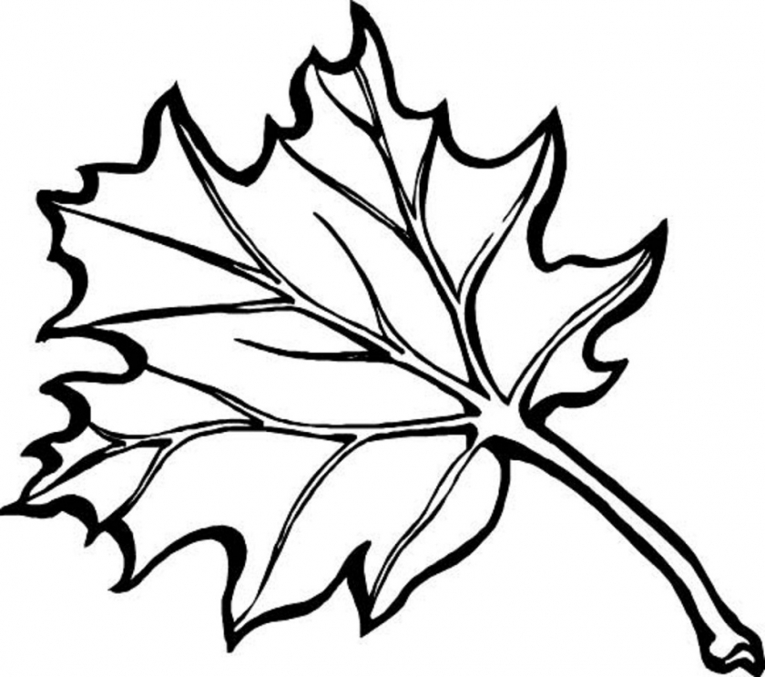 Get This fall leaves coloring pages for kindergarten ya630