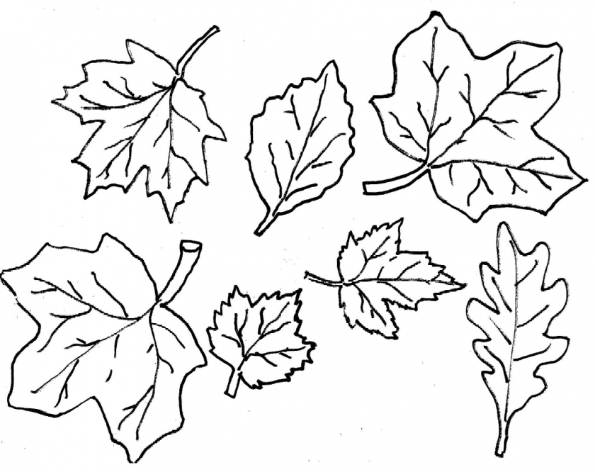 20+ Free Printable Fall Leaves Coloring Pages