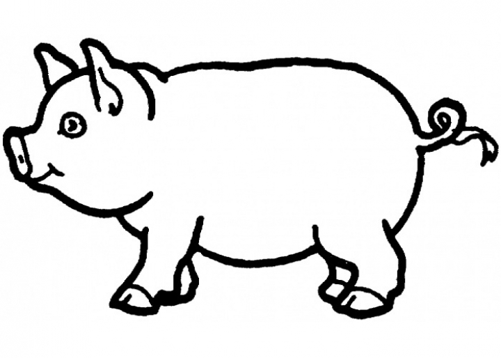 Get This Pig Coloring Pages Free ha18l