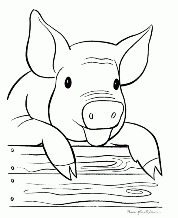 20+ Free Printable Pig Coloring Pages