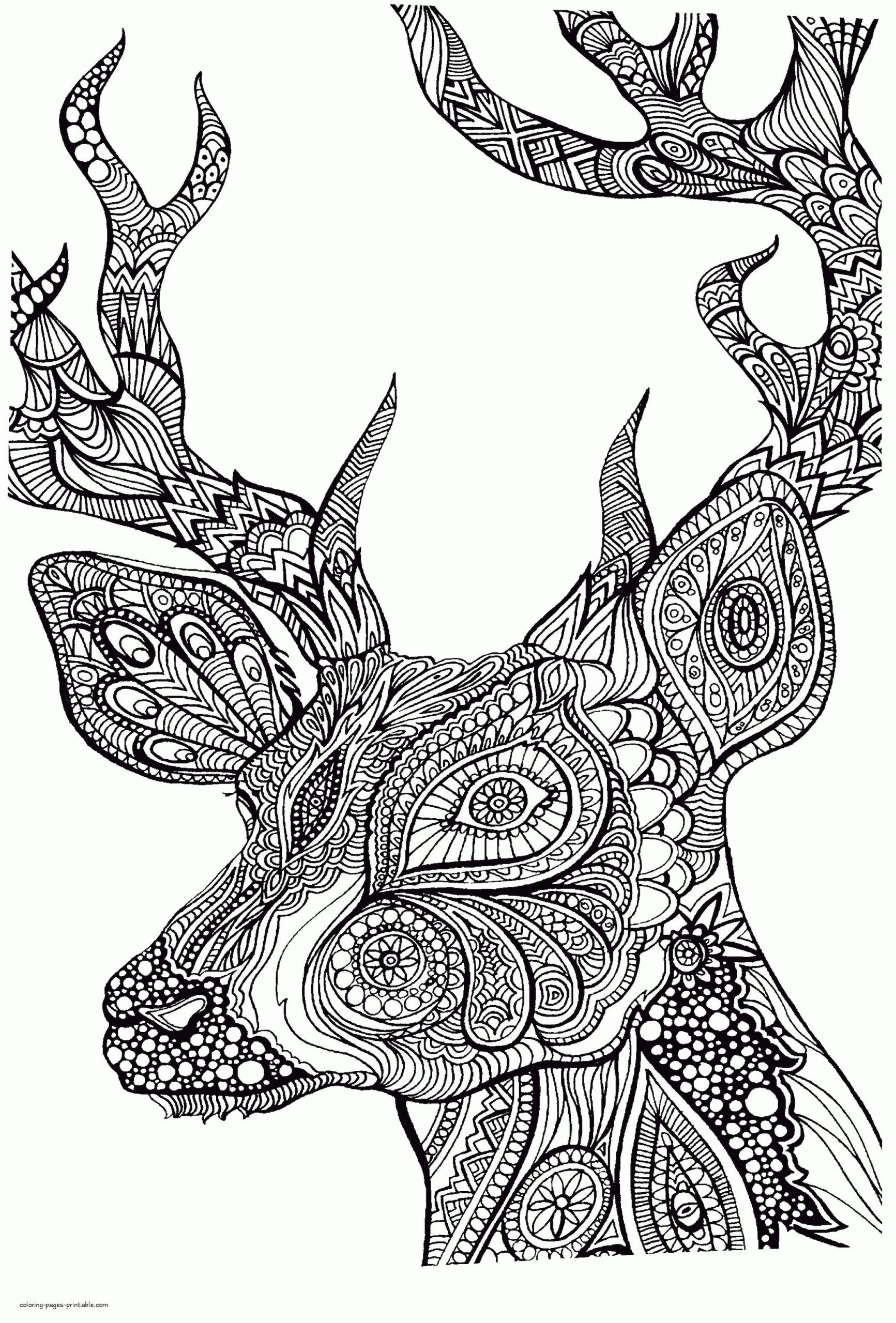 get-this-adult-coloring-pages-animals-deer