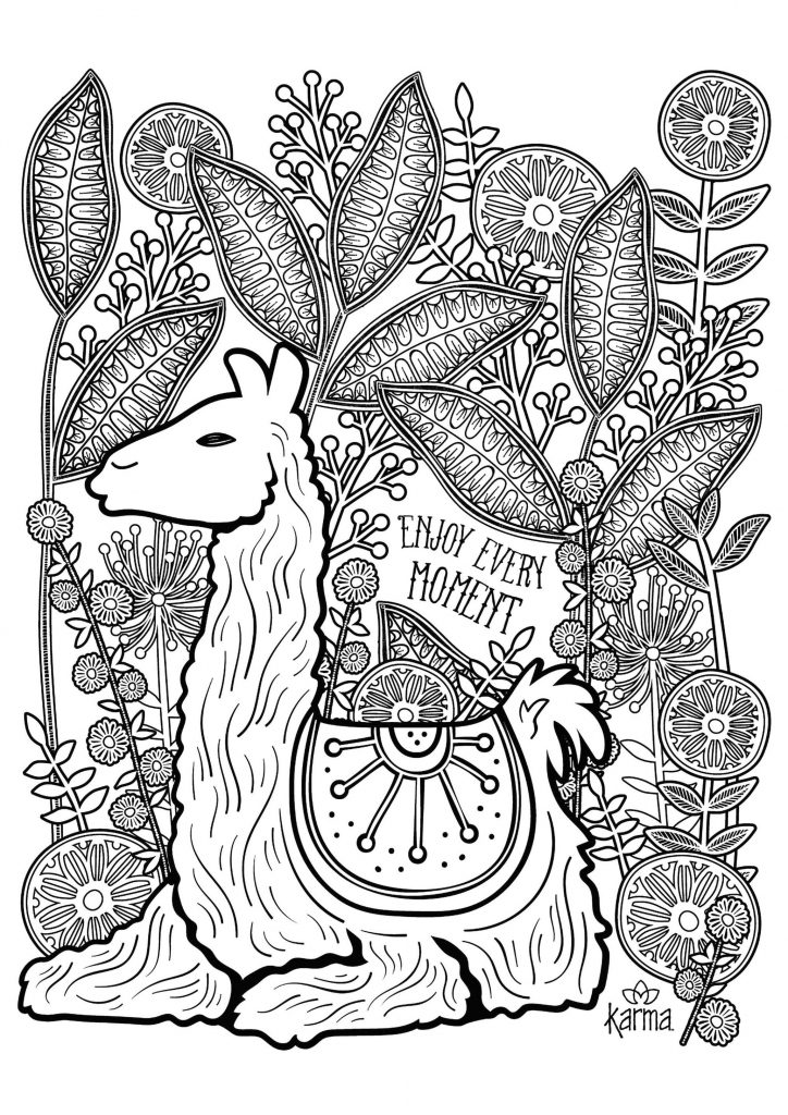 Get This Adult Coloring Pages Animals Llama 1