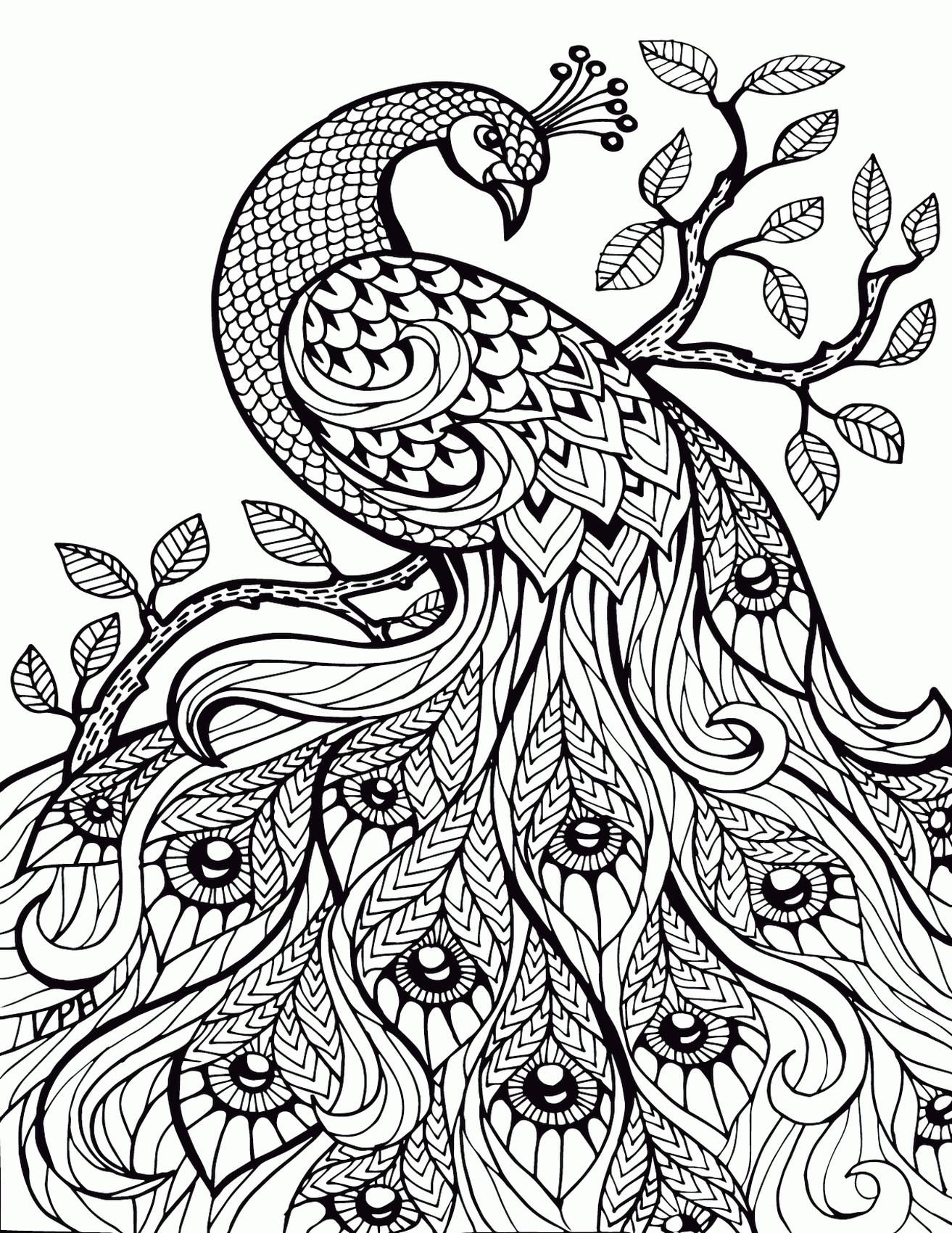 Get This Adult Coloring Pages Animals Peacock 1