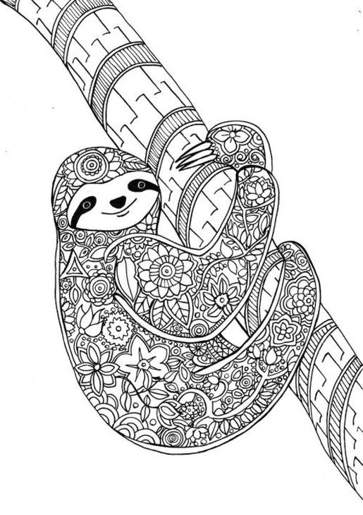 Get This Adult Coloring Pages Animals Sloth 1