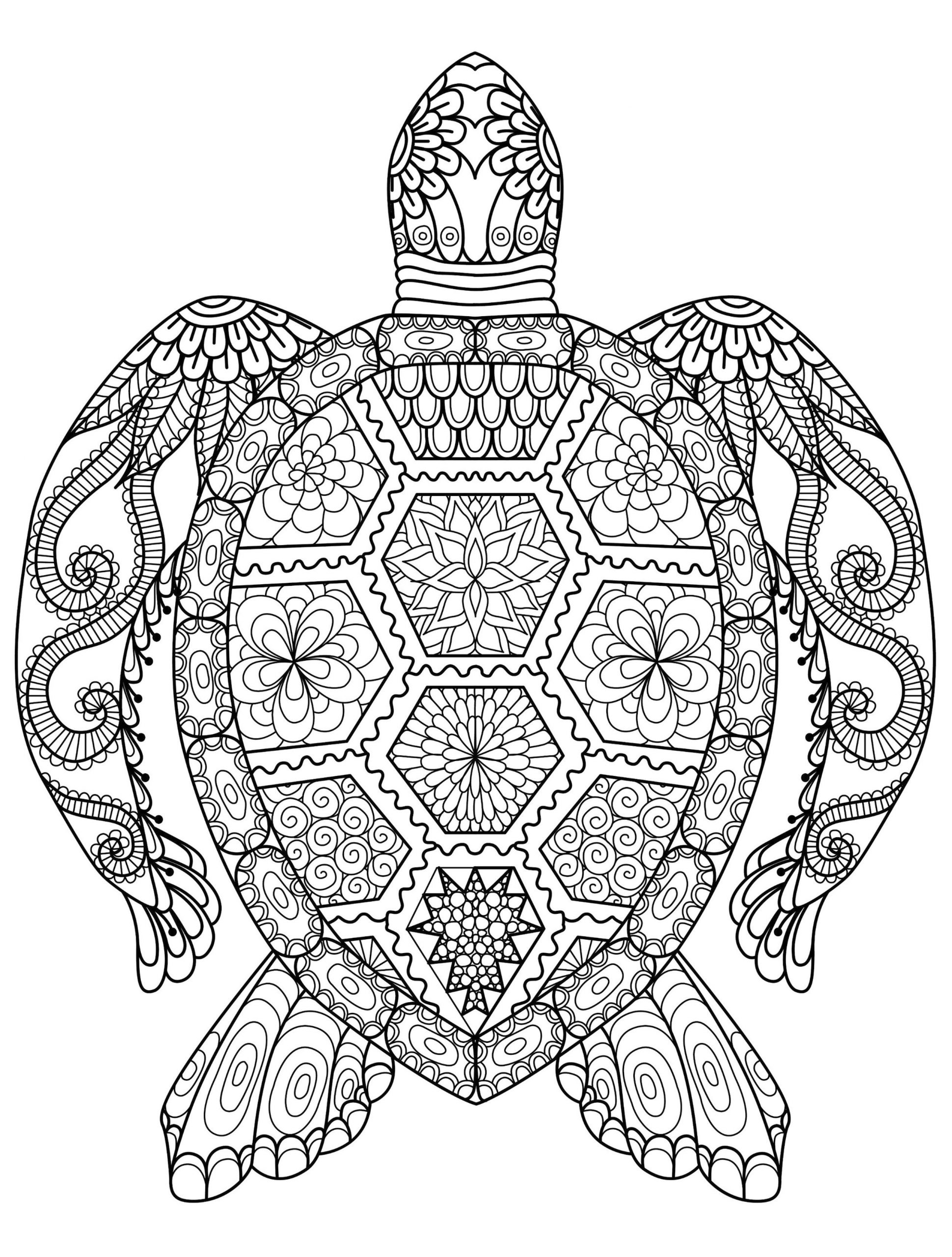 Get This Adult Coloring Pages Animals Turtle 1