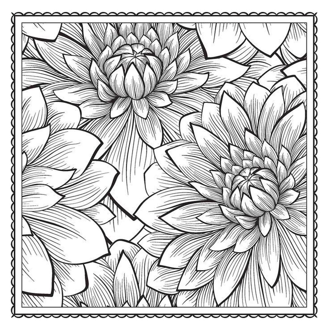 Get This Adult Coloring Pages Patterns Lotus Flower 1drt