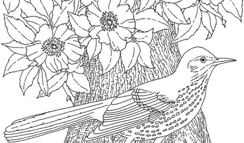 Get This Free Adults Printable of Summer Coloring Pages - 67219