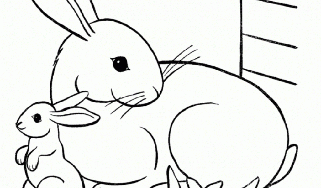 Easter Bunny Coloring Pages Family Free Printable