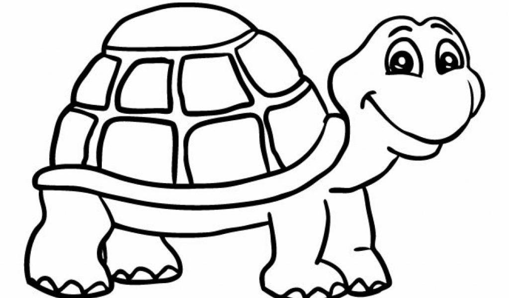 Get This Turtle Coloring Pages Free for Kids e9bnu