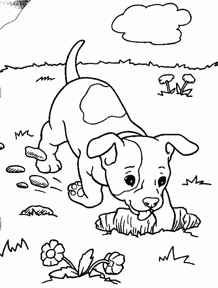 Easy Puppy Coloring Pages Preschoolers 8ps18