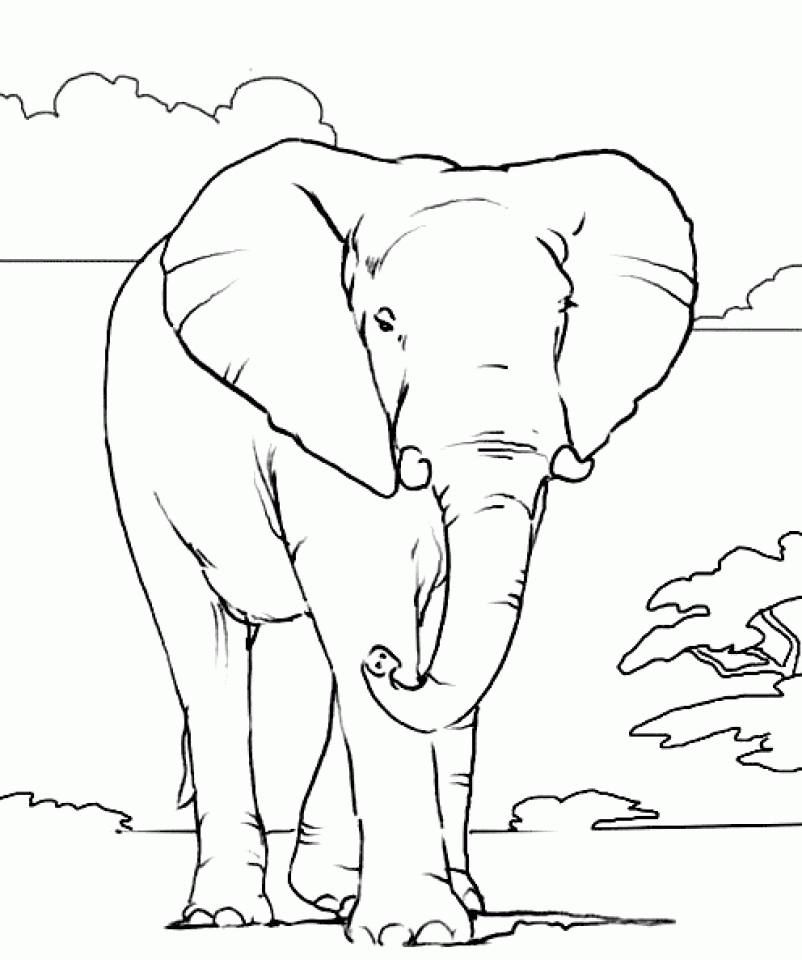 Get This African Elephant Coloring Pages Free Printable ...